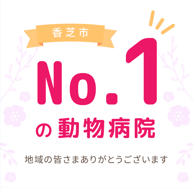 香芝市No.1の動物病院 地域の皆さまありがとうございます