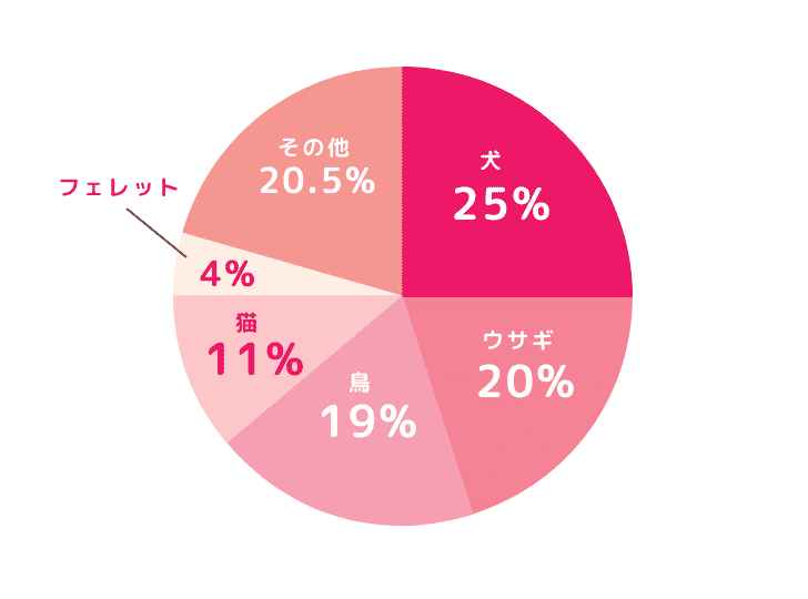 手術件数450件