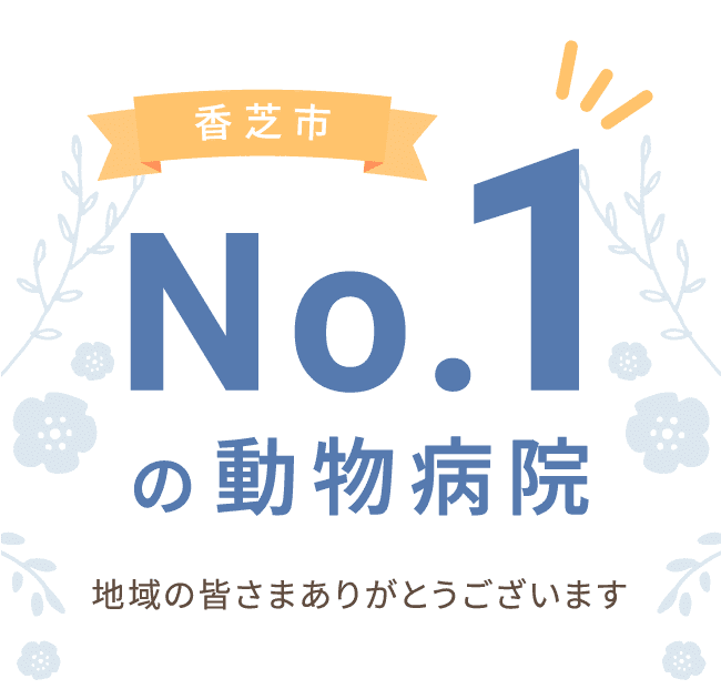 香芝市No.1の動物病院 地域の皆さまありがとうございます