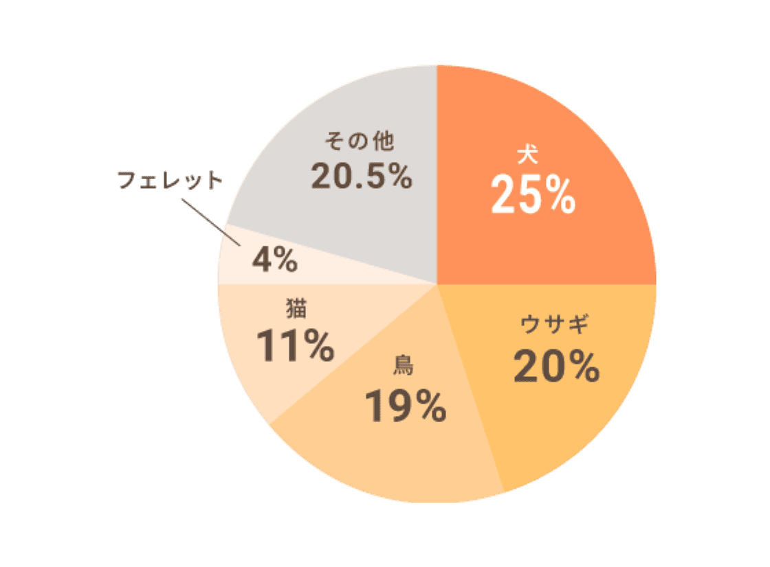 犬25% うさぎ20% 鳥19% 猫11% フェレット4% その他20.5%