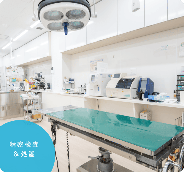 精密検査・処置