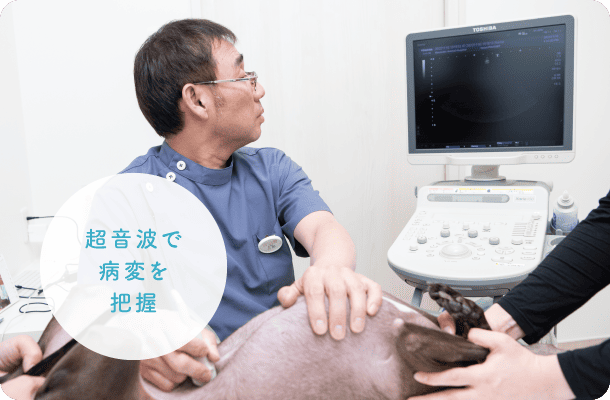 超音波で病変を把握