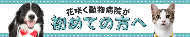 初めての方へ