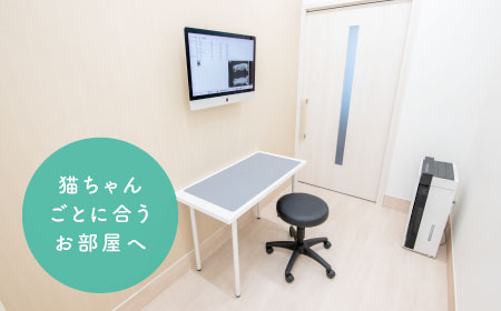 猫ちゃんごとに合うお部屋へ