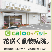calooペット