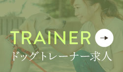 ドッグトレーナー求人