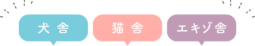犬舎/猫舎/エキゾ舎