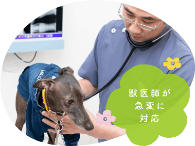 獣医師が急変に対応