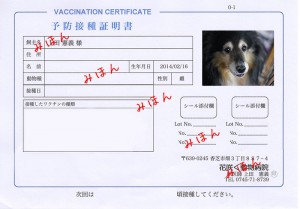 予防接種