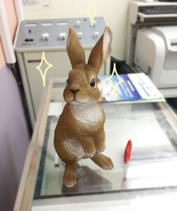 完治！！