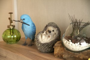 re-IMG_7145