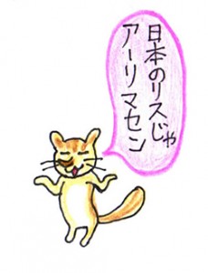 シマリスの飼い方20