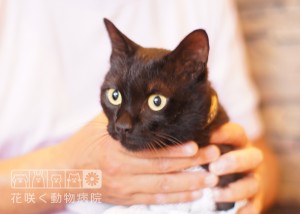 マット・マートンくん、メッセくんと家族です☺️