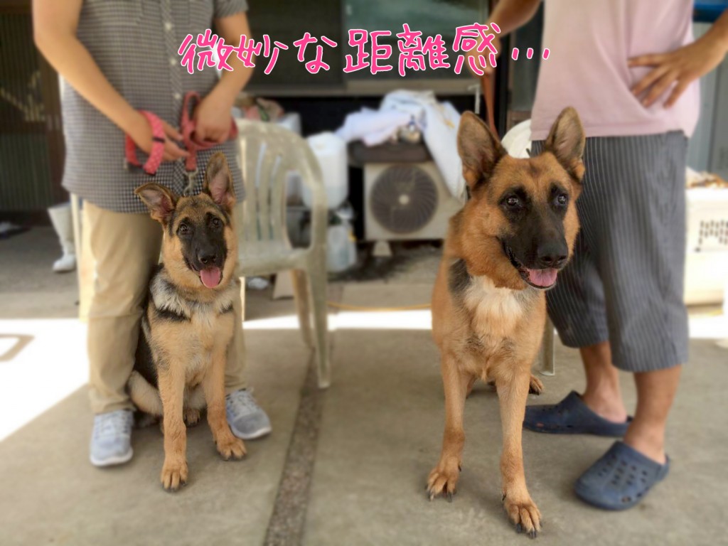 親娘