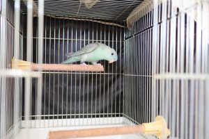 IMG_5970